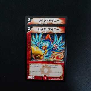 レクタ・アイニー 2枚セット