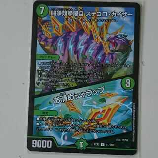 闘争類拳嘩目 ステゴロ・カイザー｜お清めシャラップ