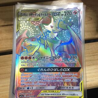 リザードンテルーナ