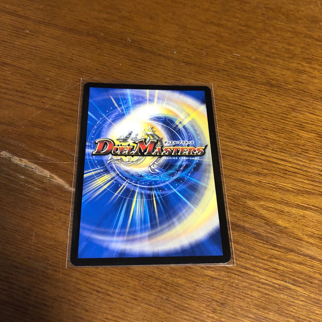 天命龍装 ホーリーエンド/ナウ・オア・ネバーシークレット