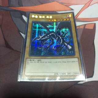 韓国　真紅眼の黒竜 シークレットレア