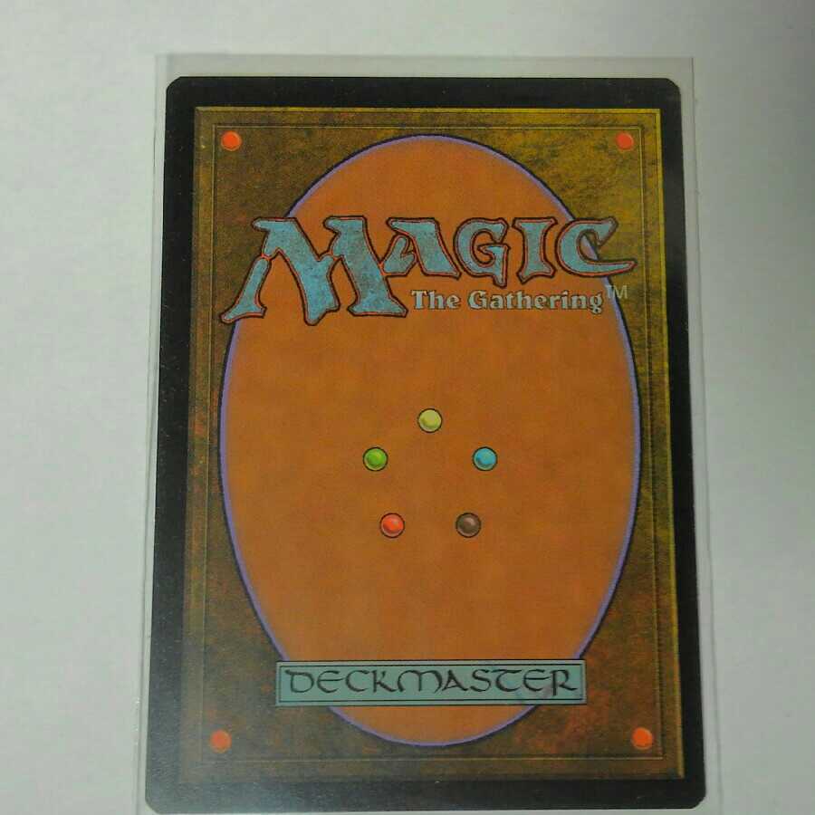 花の絨毯　日本語