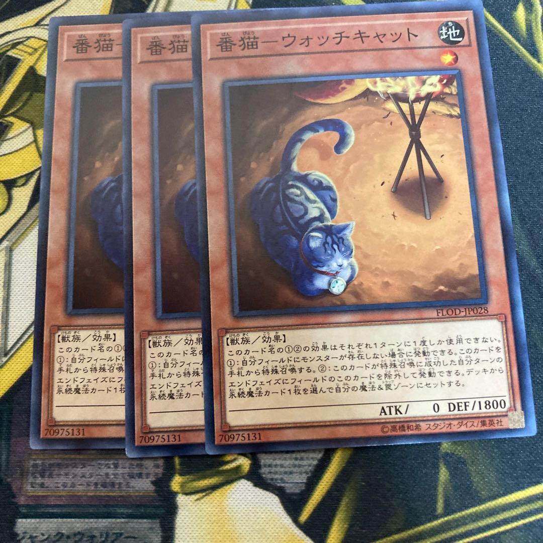 マドレース4452番猫-ウォッチキャット ノーマル