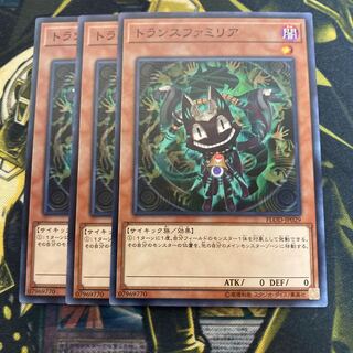 マドレース4466トランスファミリア ノーマル