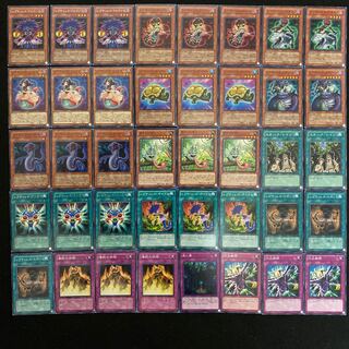 レプティレスデッキ　本格構築　遊戯王No.115 エキドゥーナ　ラミア