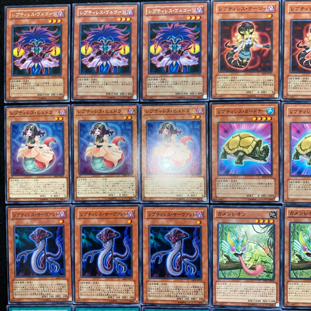 レプティレスデッキ 本格構築 遊戯王No.115 エキドゥーナ ラミア 1枚