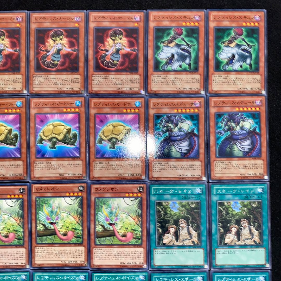 レプティレスデッキ 本格構築 遊戯王No.115 エキドゥーナ ラミア 1枚