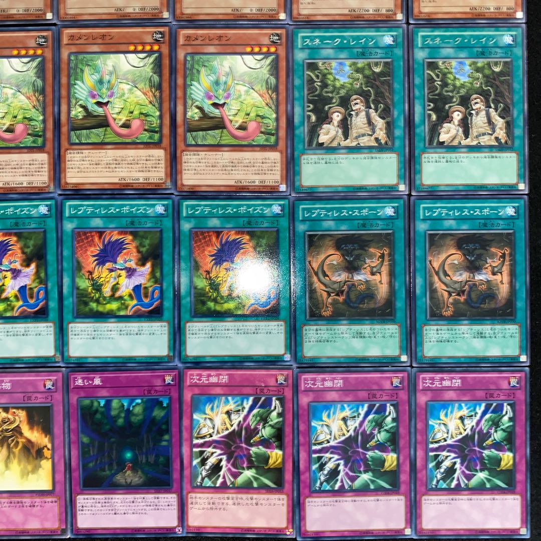 レプティレスデッキ 本格構築 遊戯王No.115 エキドゥーナ ラミア 1枚