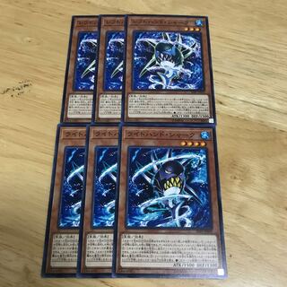 レフトハンド・シャーク ライトハンド・シャーク　ノーマル　Hulu