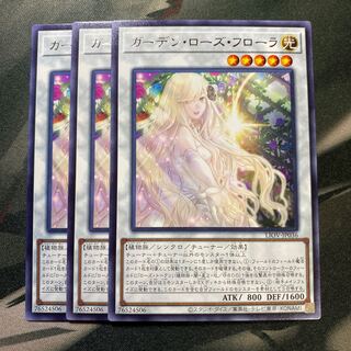 ガーデン・ローズ・フローラ レア