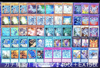 遊戯王 ガチ構築!!青眼デッキ40枚+EX15枚