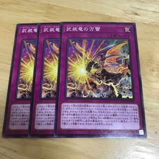 武装竜の万雷 ノーマル　Hulu