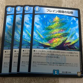 ブレイン珊瑚の仙樹 R