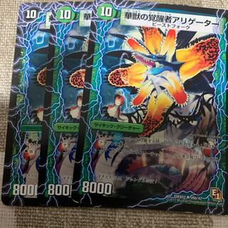 時空の花カイマン｜華獣の覚醒者アリゲーター U