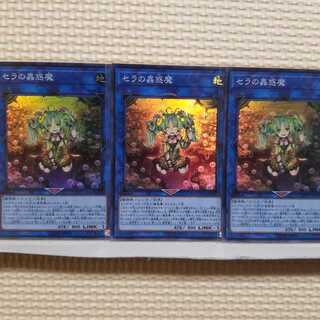 セラの蟲惑魔 スーパーレア 3枚