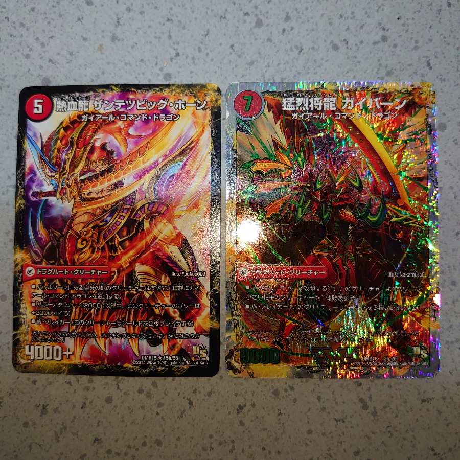 将龍剣 ガイアール|猛烈将龍 ガイバーン(スーパーデッキ仕様)+α