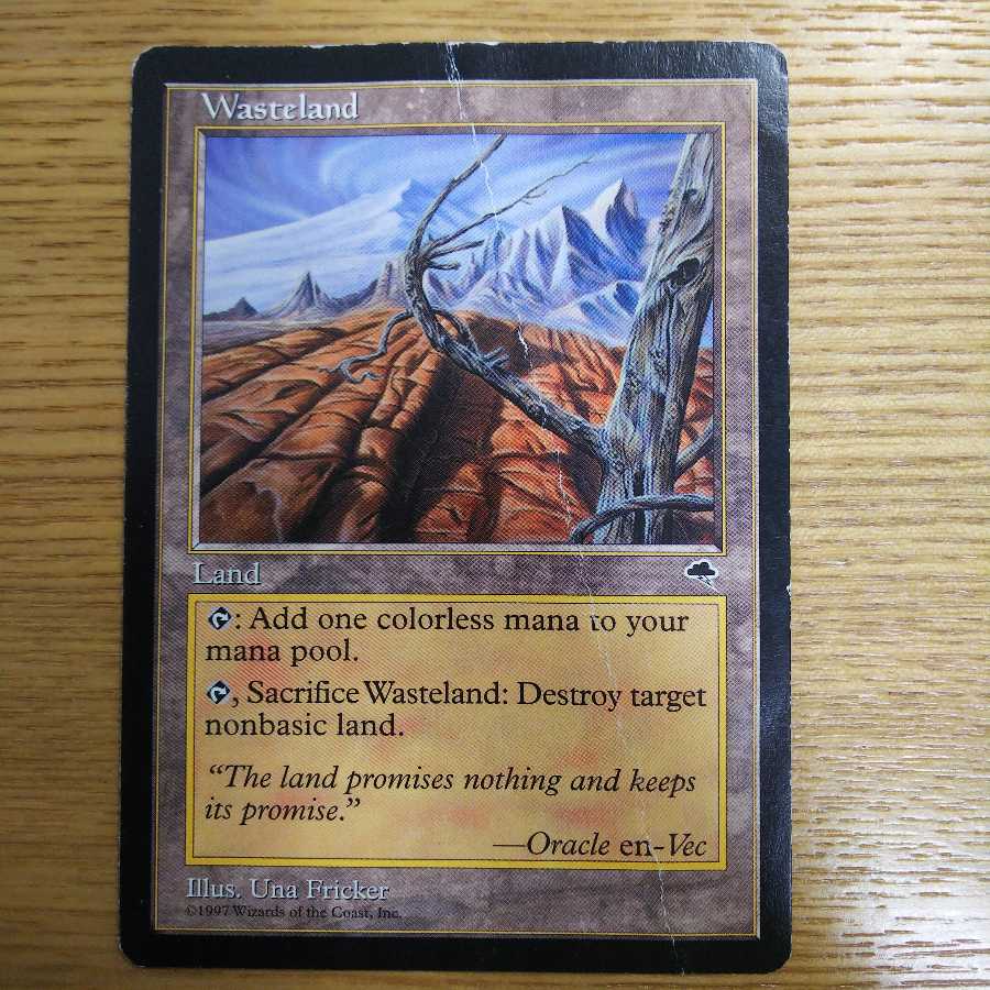 不毛の大地 英語 ジャンク品