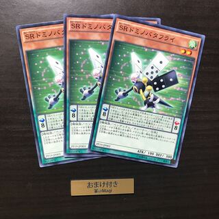 SRドミノバタフライ ノーマル