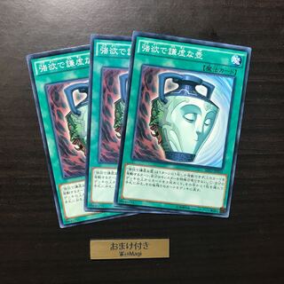 強欲で謙虚な壺 ノーマル/ノーパラ