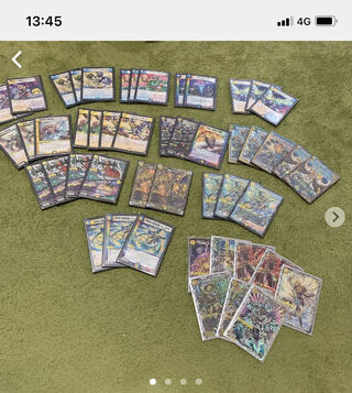 専用　ドロマーロージア