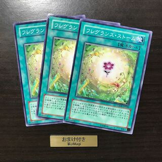 フレグランス・ストーム ノーマル