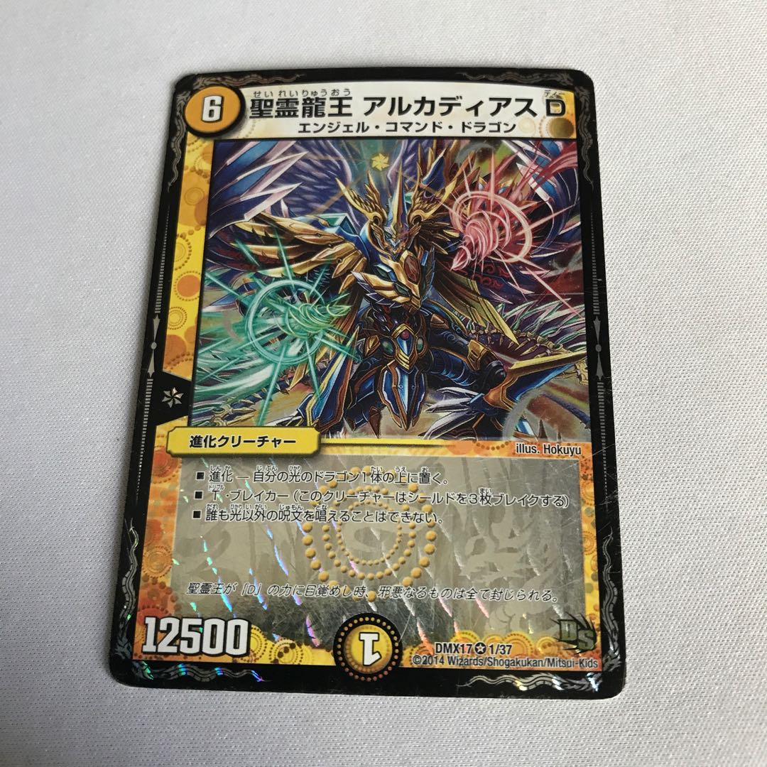 聖霊龍王 アルカディアスD