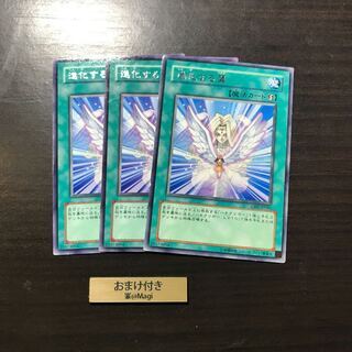 進化する翼　レア　ハネクリボーlv10 字レア×3