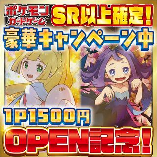 【11口分】★magi店OPEN記念★豪華！リーリエオリパ！！