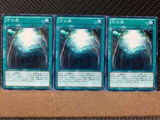 【ぽぽたん】遊戯王 7228 古の森 3枚 ノーマル
