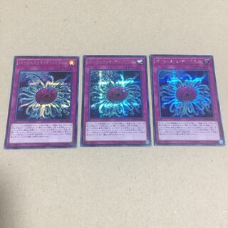 バージェストマ・ディノミスクス シークレットレア