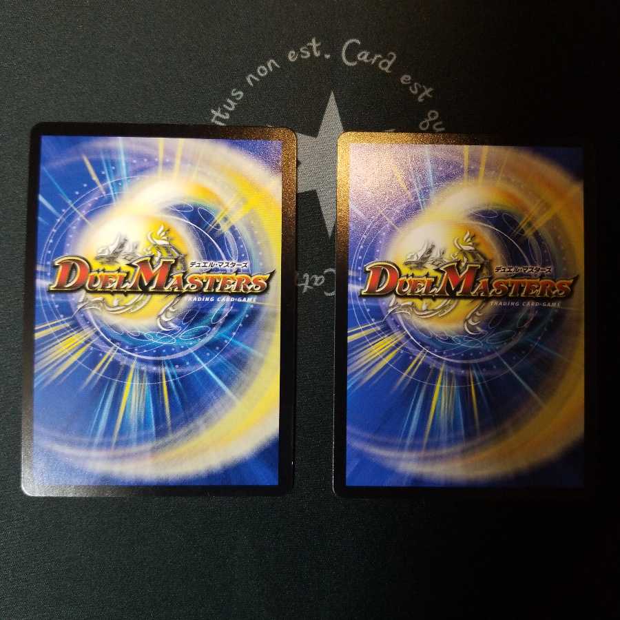 絶望と反魂と滅殺の決断(パーフェクト・ダークネス) シークレット 2枚