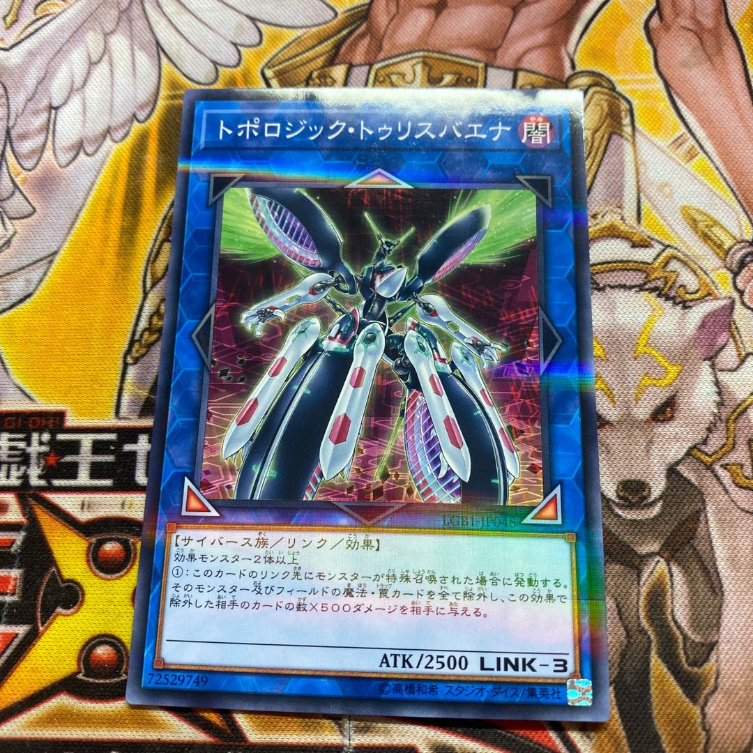 トポロジック・トゥリスバエナ パラレル ノーマル