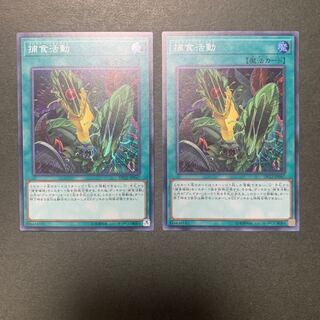 捕食活動 スーパーレア　2枚セット