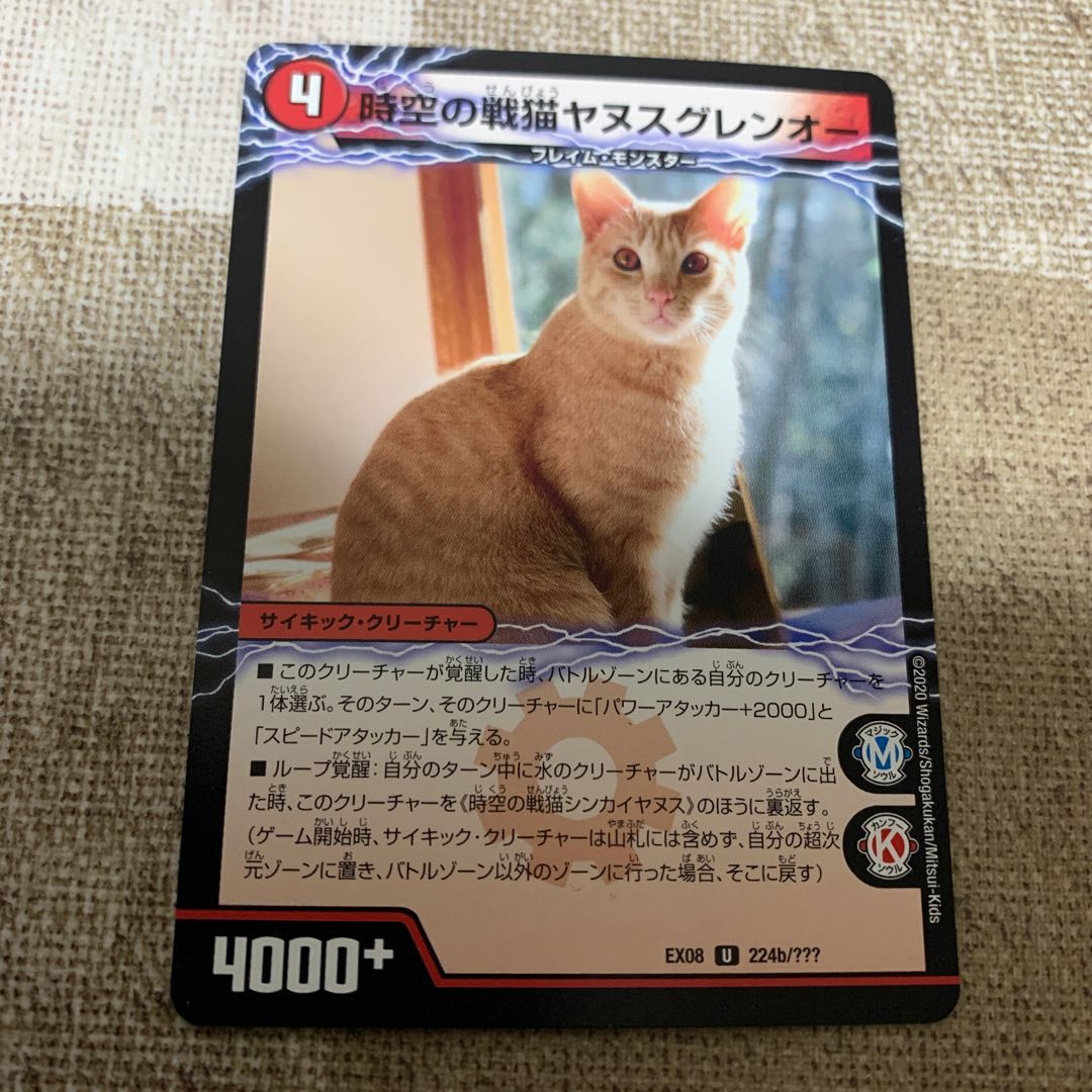 時空の戦猫シンカイヤヌス|時空の戦猫ヤヌスグレンオー U