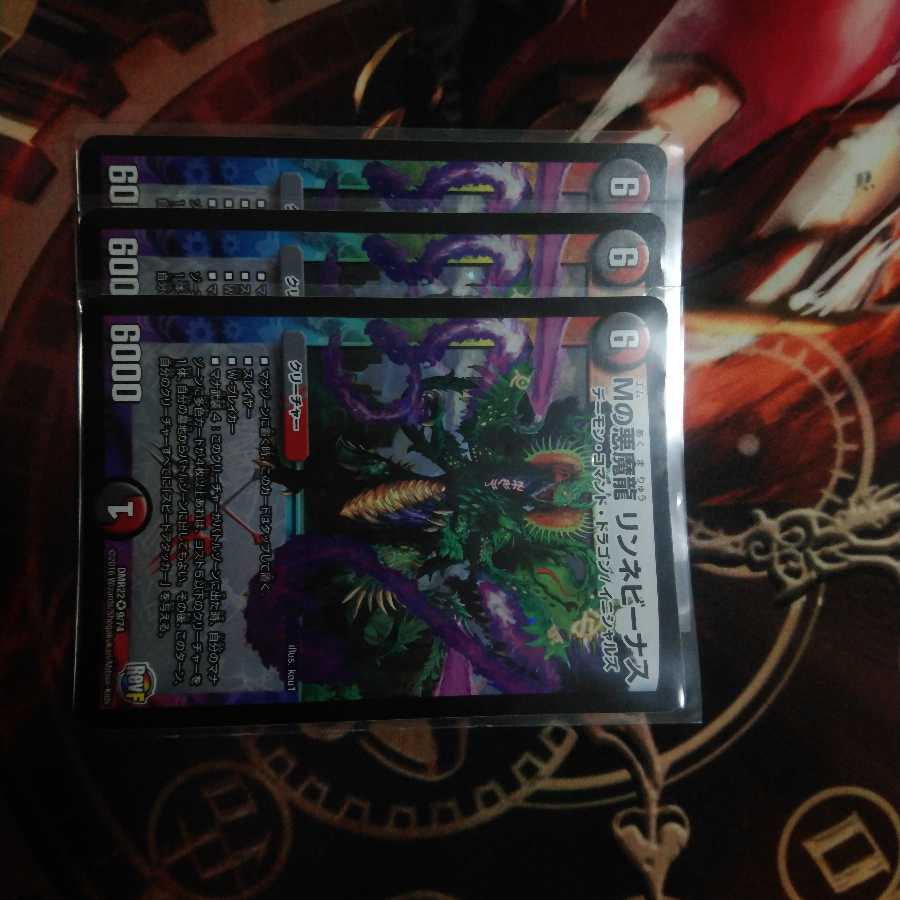 リンネビーナス3枚