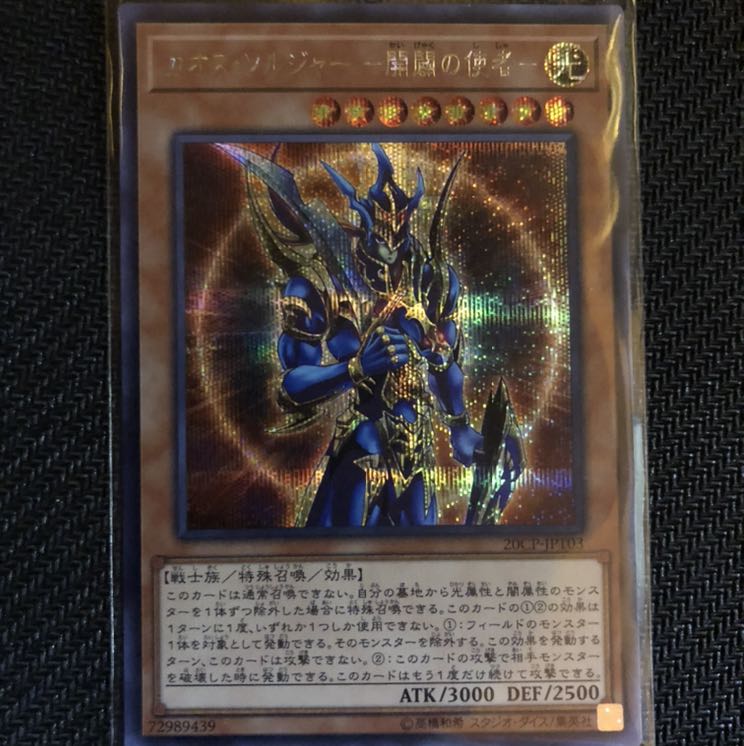 シークレット シク カオス・ソルジャー -開闢の使者-