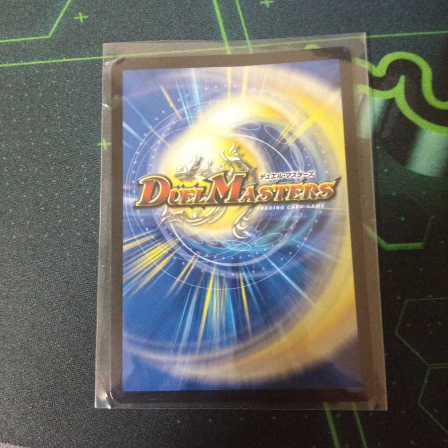 「雷光の聖騎士」