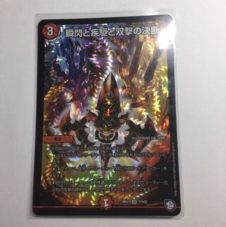 瞬閃と疾駆と双撃の決断