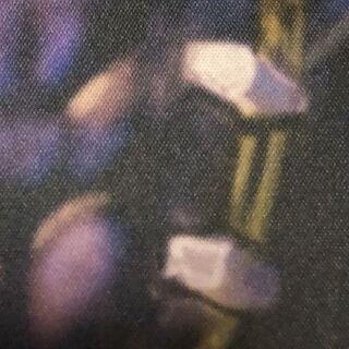 アナカラーシャコガイル様専用