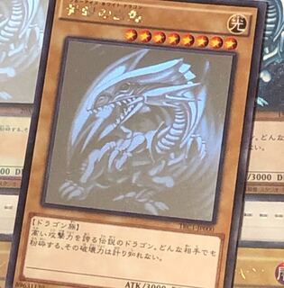 謎の草さん 専用 1枚
