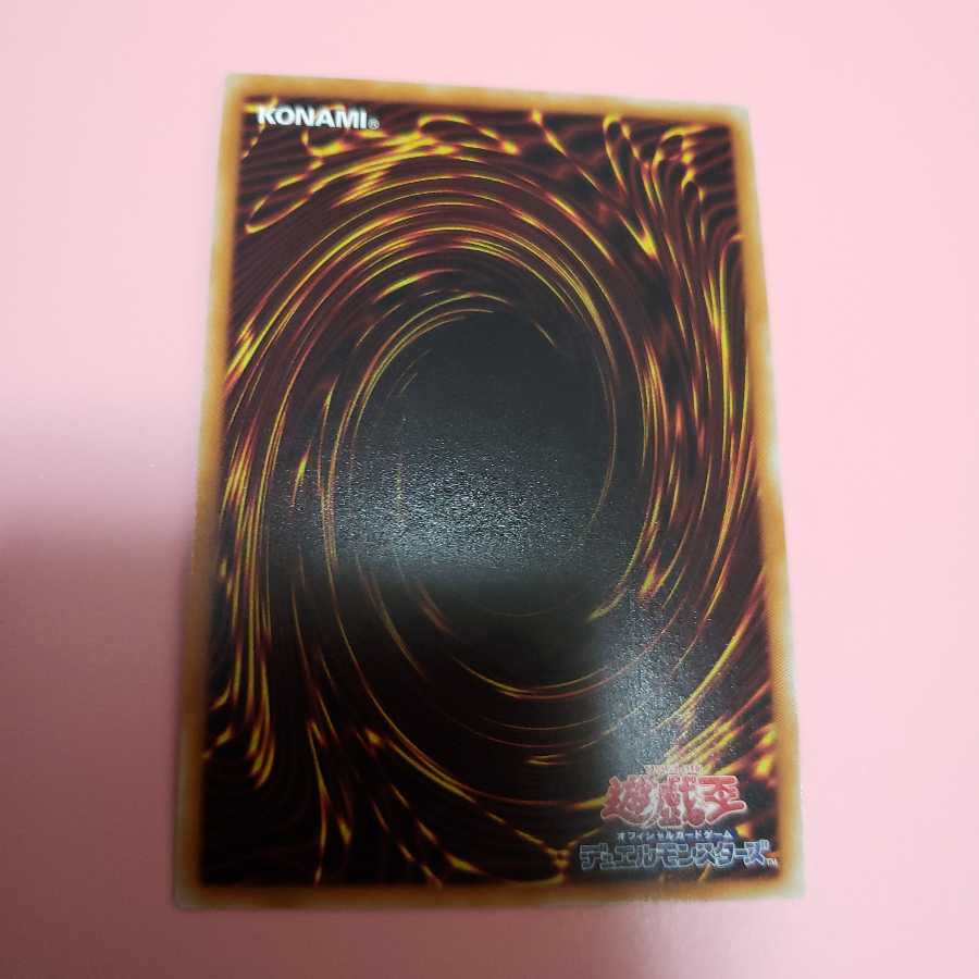 牛タン様専用　万物創世龍