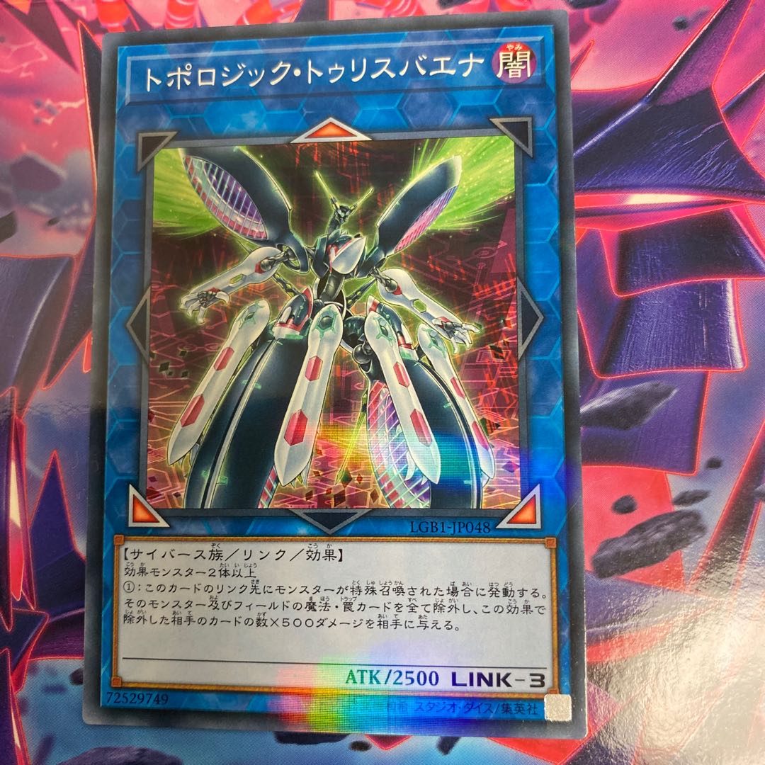 ◉トポロジック・トゥリスバエナ パラレル ノーマル