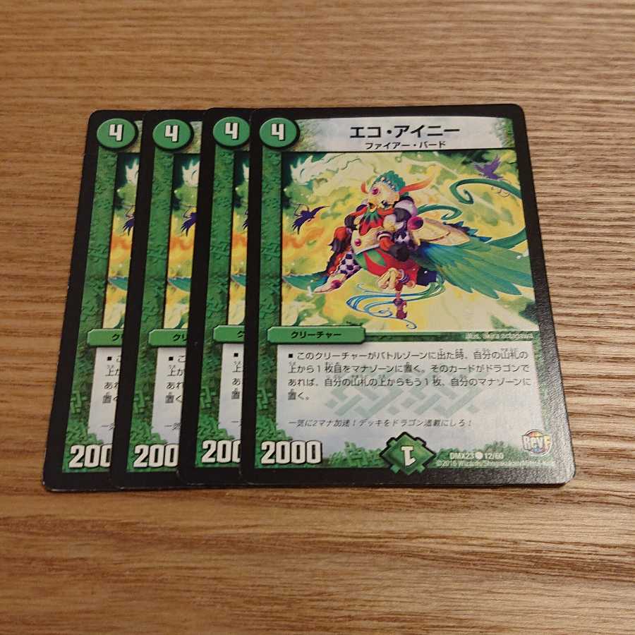 エコ・アイニー