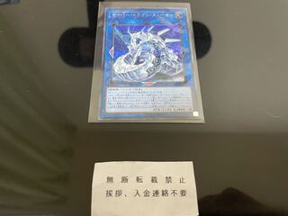 サイバー・ドラゴン・ズィーガー シークレット