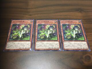 【あいす】ジーナの蟲惑魔