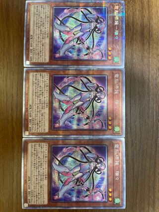 電脳堺媛-瑞々 プリズマティックシークレットレア