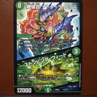 セット割引　摩破目 ナトゥーラ・トプス｜ストンピング・ウィード