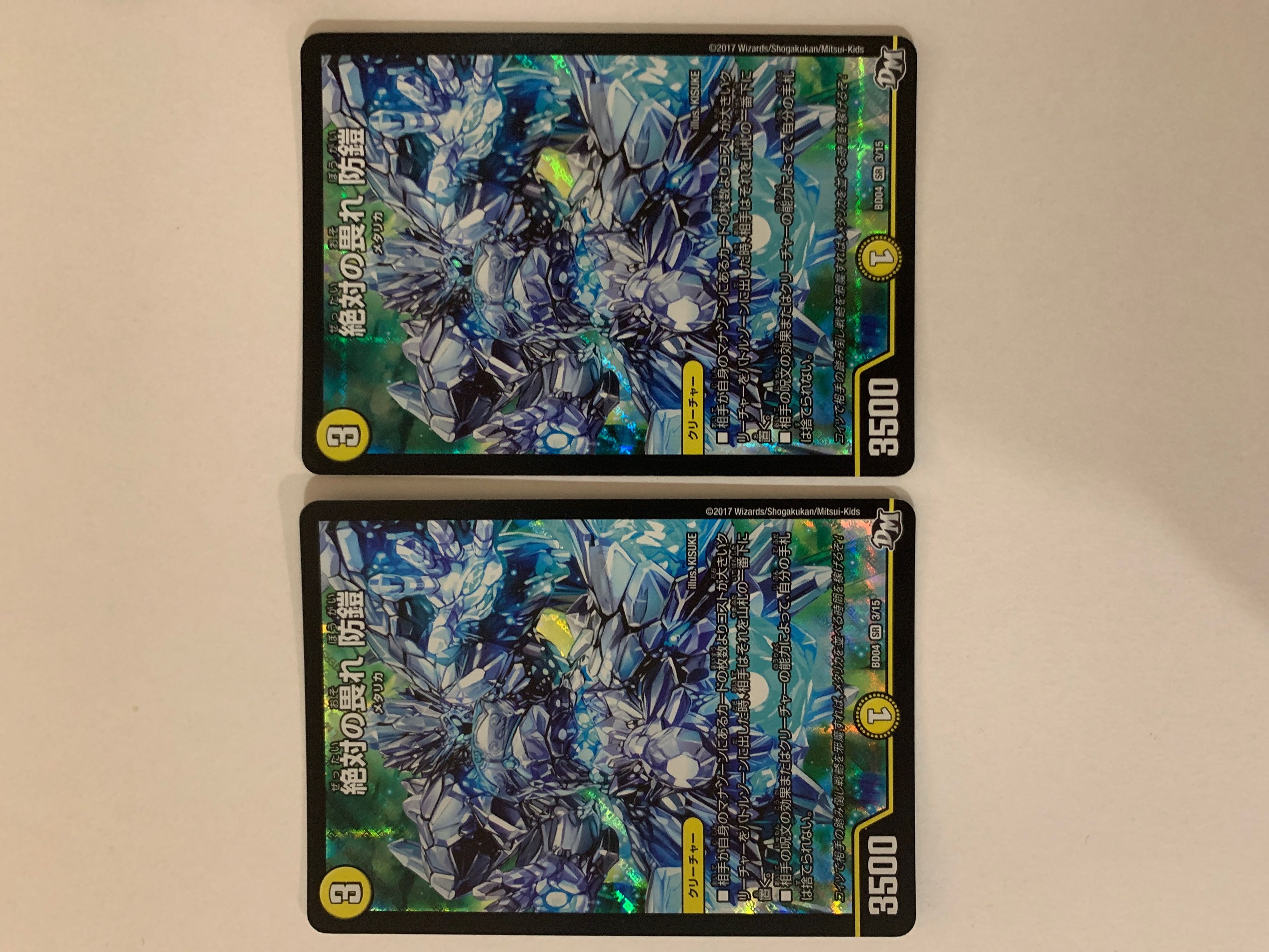 絶対の畏れ 防鎧 2枚