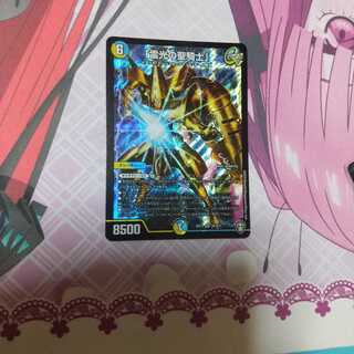 「雷光の聖騎士」