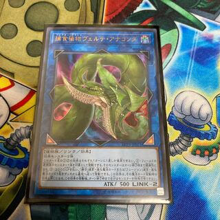 本日限定！　◉捕食植物ヴェルテ・アナコンダ ウルトラレア